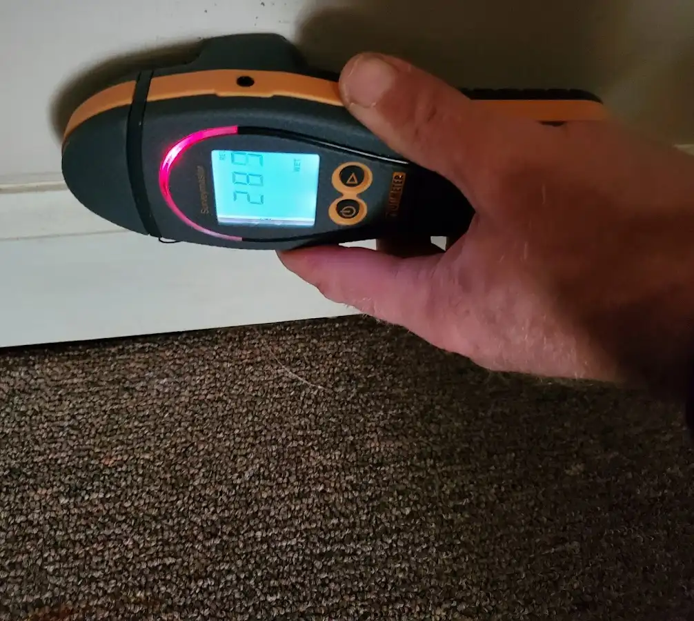 Moisture detection at baseboard during Mold Inspection & Testing in Yorkshire